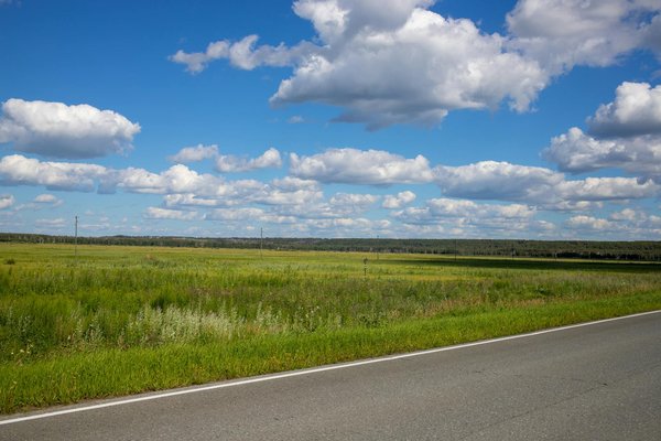 Rallye wrc : toutes les dernières infos à ne pas manquer